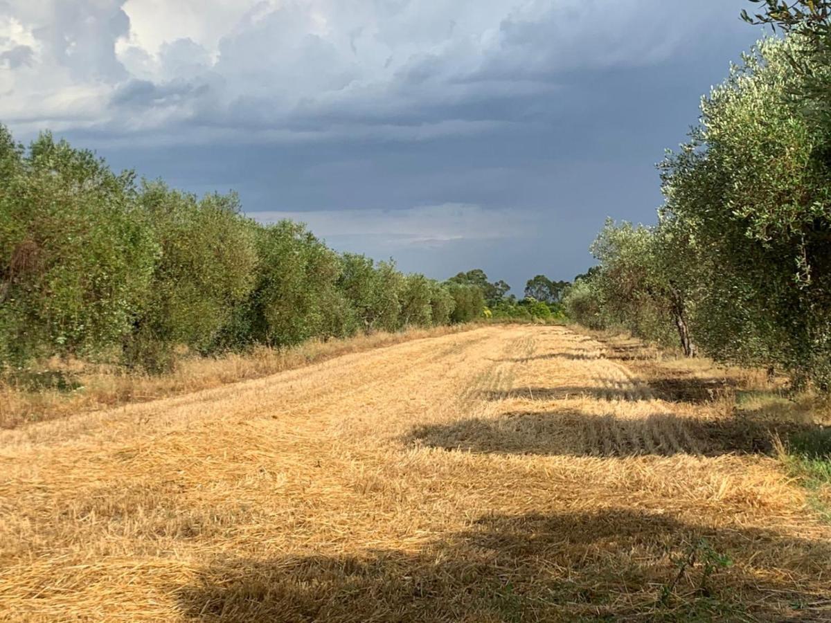 Agriturismo Beveraggio Appartamenti Marina di Grosseto Luaran gambar